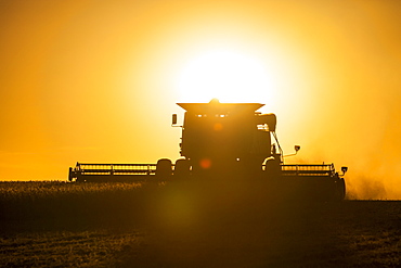 Combine picking beans during soybean harvest, near Nerstrand, Minnesota, United States of America