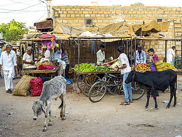 Street scene with animals and vendors, Jaisalmer, Rajasthan, India