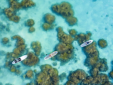 Aerial view of people on stand up paddle boards over the reef on Piti Bay, Mariana Islands, Asan, Guam, Micronesia