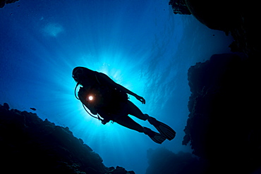 The silhouette of a diver in front of the sun, from below looking up at the surface, Yap, Micronesia