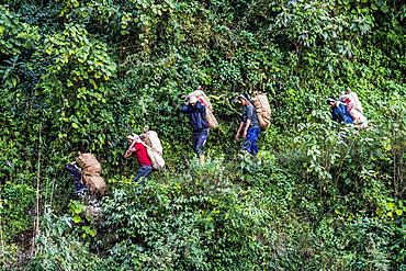 Workers carry large sacks on their backs down a path, Sikkim, India