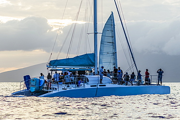 Tourists whale watching from sailboat, Lahaina, Maui, Hawaii, United States of America