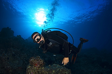 Male diver with sun over ocean surface, Island of Hawaii, Hawaii, United States of America