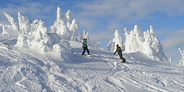 Snowboarding on a run at Sun Peaks ski resort with snow ghosts at the top of the mountain, Kamloops, British Columbia, Canada