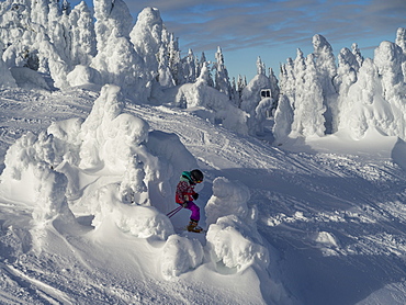 A young girl downhill skiing through the snow ghosts on a ski run at a ski resort, Kamloops, British Columbia, Canada