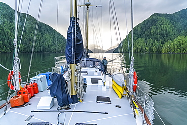 Sailing in the Great Bear Rainforest, Hartley Bay, British Columbia, Canada