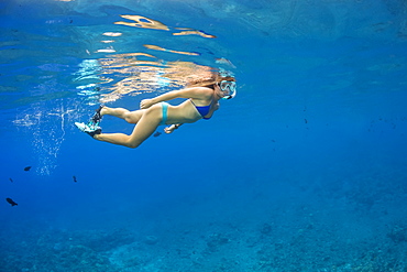 A young lady free diving off Molokini Marine Preserve off the island of Maui, Maui, Hawaii, United States of America