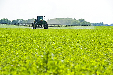 A high clearance sprayer gives a ground chemical application of herbicide to early growth soybeans, near Niverville, Manitoba, Canada