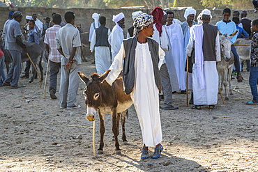 Man and his donkey at the Monday livestock market, Keren, Anseba Region, Eritrea