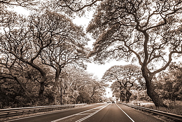 Road enroute to Kaplua from Kihei on the island of Maui, Maui, Hawaii, United States of America