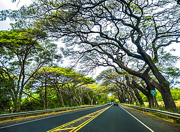 Road enroute to Kaplua from Kihei on the island of Maui, Maui, Hawaii, United States of America