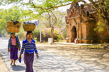 Women walking with loads on their heads, Bagan, Mandalay Region, Myanmar