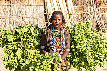 Arbore woman in Arbore Village, Omo Valley, Southern Nations Nationalities and Peoples' Region, Ethiopia