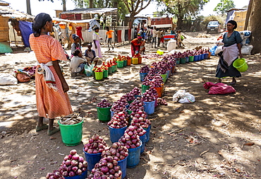 Women selling onions, Koka Reservoir (Lake Gelila), Oromia Region, Ethiopia