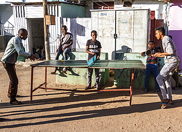 Ethiopian men playing ping-pong, Harar Jugol, the fortified historic town, Harar, Harari Region, Ethiopia