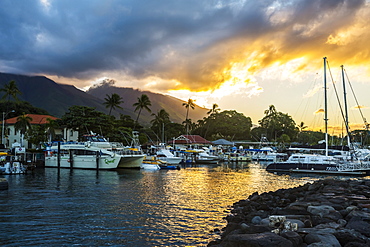 Yachts, sailboats and tour boats moored in the Lahaina harbour at sunset with volcanic island peaks in the distance, Lahaina, Maui, Hawaii, United States of America