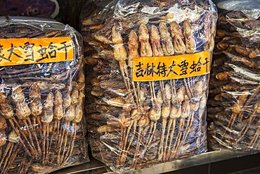 Plastic bags full of dried frogs for sale at a medicine shop. The frogs are dried for use as aphrodisiacs in Chinese medicine, Guangzhou, Guangdong Province, China