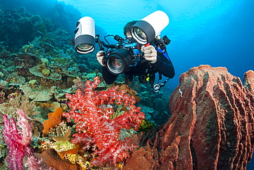 A photographer lines up with a SLR in a housing with a macro lens to shoot at tiny crab perched on soft coral, Indonesia