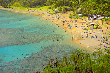 Popular beach busy with tourists on Hanauma Bay, Oahu, Hawaii, United States of America