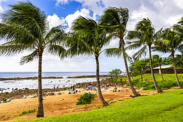 People snorkelling at Shark's Cove on the North Shore, Oahu, Hawaii, United States of America