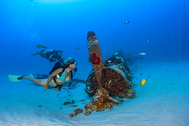 Divers on a WW II Corsair fighter plane off Southeast Oahu, Oahu, Hawaii, United States of America