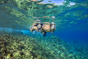 A young couple free diving in clear water over a Hawaiian reef, Hawaii, United States of America