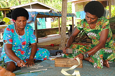 Making Tapa, a traditional cloth for decoration, Fiji, South Pacific, Pacific