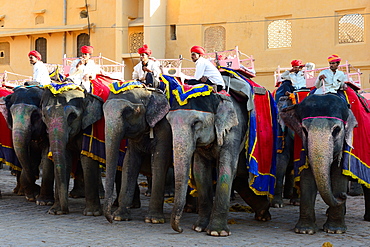 Elephants ready for tours in Amber fort, Jaipur, Rajasthan, India, Asia