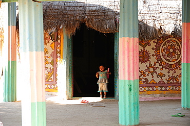 Traditional courtyards of Gujjar families, Gujarat, India, Asia