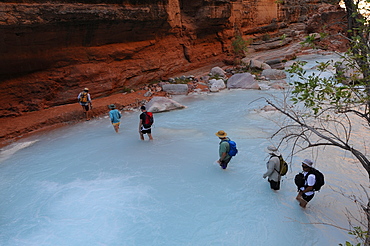 Hikers along the Havasu Creek, Colorado, United States of America, North America