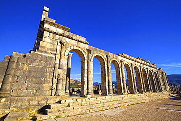 Excavated Roman City, Volubilis, Morocco, North Africa