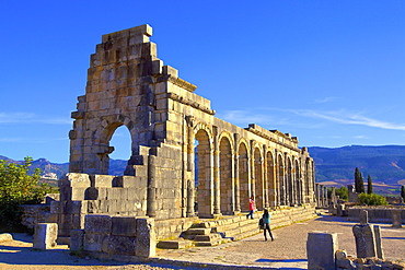 Excavated Roman City, Volubilis, UNESCO World Heritage Site, Morocco, North Africa, Africa