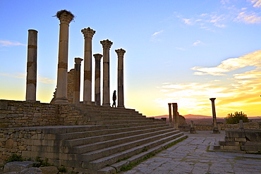 Excavated Roman City, Volubilis, UNESCO World Heritage Site, Morocco, North Africa, Africa