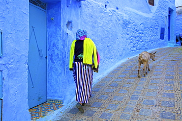 Chefchaouen, Morocco, North Africa, Africa