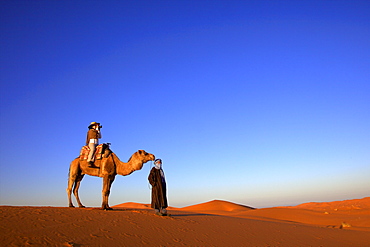 Tourist on camel taking photograph, with Berber man, Morocco, North Africa, Africa