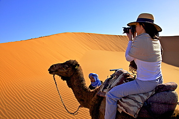 Tourist on camel taking photograph, with Berber man, Morocco, North Africa, Africa