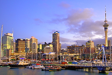 Auckland City and Harbour, Auckland, North Island, New Zealand, Pacific