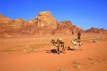 Bedouin and camels, Wadi Rum, Jordan, Middle East