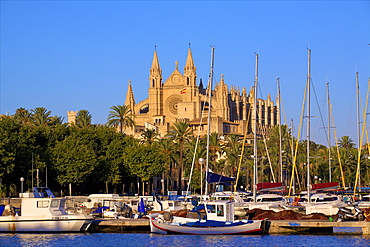 Cathedral and Harbour, Palma, Mallorca, Spain, Europe