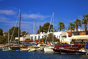 Yalikavak, Bodrum Peninsula, Anatolia, Turkey, Asia Minor, Eurasia