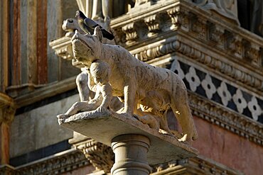 Statue of She-wolf with Romulus and Remus, Siena, Tuscany, Italy, Europe