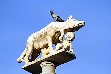 Statue of She-wolf with Romulus and Remus, Siena, Tuscany, Italy, Europe