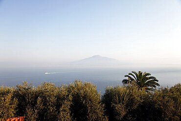 Mount Vesuvius, Naples, Campania, Italy, Europe