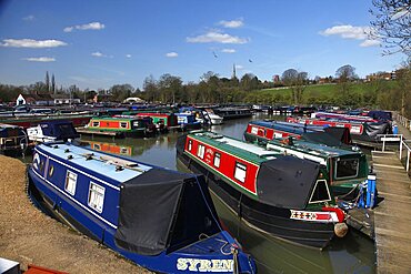 Multicoloured narrow boats, Northamptonshire, England, United Kingdom, Europe