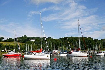 Yachts and boats, Lake District, Cumbria, England, United Kingdom, Europe