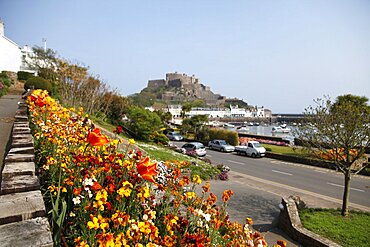 Orange and yellow flowers and Mont Orgueil Castle, Jersey, Channel Islands, United Kingdom, Europe