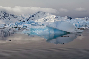 Bahia Paraiso (Paradise Bay), Antarctic Peninsula, Antarctica, Polar Regions 