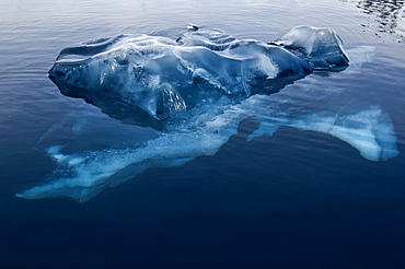 Black ice, Bahia Paraiso (Paradise Bay), Antarctic Peninsula, Antarctica, Polar Regions 