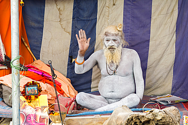 Sadhu covered with white ashes, Allahabad Kumbh Mela, largest religious gathering, Allahabad, Uttar Pradesh, India, Asia