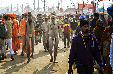 Sadhus walking between pilgrims, Allahabad Kumbh Mela, World's largest religious gathering, Allahabad, Uttar Pradesh, India, Asia